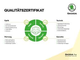 Information in accordance with directive 1999/94/ec as amended: Skoda Scala Clever 1 0 Tsi Dsg Spurwechsel Wolfert Gruppe