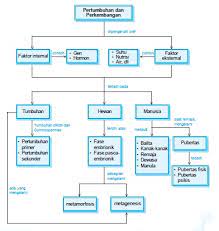 Selain perawatan, tumbuhan juga memerlukan lingkungan yang sesuai. Musik Pertumbuhan Dan Perkembangan