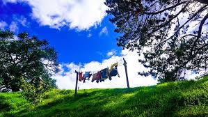 Gorgeous hd wallpapers and backgrounds. Hd Wallpaper New Zealand Hobbiton Movie Set Hobbit Hole The Shire Hobbits Wallpaper Flare