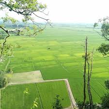 Malaysia Kehijauan Sawah Padi Di Kodiang Kedah Malaysia Pemandangan Dari Bukit Kodiang Pemandangan Kontrak Sosial Malaysia