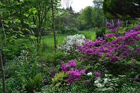 Le Jardin Prefere Des Francais Limousin Le Jardin De Liliane Jardins Jardins Du Monde Parc Et Jardin
