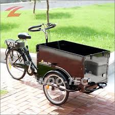 Znl Lastenrad Lastenfahrrad Fahrradanhanger Fahrrad Elektro Dreirad Elektrodreirad Kinder Transportrad Transportanhanger Ft 9005e Lastenfahrrad Dreirad Fahrrad