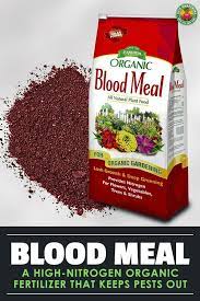 Maybe you would like to learn more about one of these? Pin On Organic Gardening