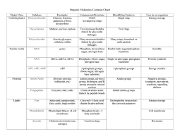 Worksheet organic chemistry review isomers are organic molecules that have the same chemical worksheet organic chemistry review answer key download and so do happen probably with this organic molecules worksheet review answers. Biomolecules Chart Answers Tamil