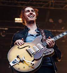 Weird things about the name hozier: Hozier Musician Wikipedia