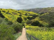 Sunday Stairs Meetup (Calabasas, CA)
