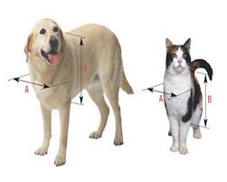Looking for cat door wall? Ideal Pet Products Ruff Weather Pet Door With Telescoping Frame Want To Know More Click On The Image This Is An A Dog Door Dog Door Installation Cat Door