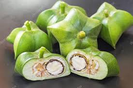 Image result for Plukenetia