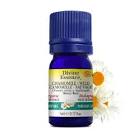 Wild Moroccon Chamomile Organic Essential Oil 5mL Divine Essence