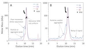 The refractive index detector measures the refractive index of a substance. Characterization Of Proteins By Size Exclusion Chromatography Coupled To Multi Angle Light Scattering Sec Mals Protocol Translated To Spanish