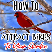 Check out the weather resistant antique bird bath in patina green. How To Attract Birds To Your Garden