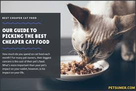 We found the best premium dry cat food to suit your pet's dietary needs. 13 Best Cheaper Cat Foods That Are High Quality In 2020