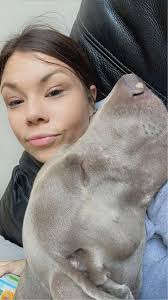 Personal space is not a thing with a Weim 😂💙