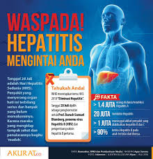 Penyakit hepatitis b bisa menjadi kondisi yang lebih kronis yaitu bisa bertahan selama lebih dari 6 bulan lamanya. Hepatitis B Penyakit Menular Yang Membahayakan Jiwa Kita
