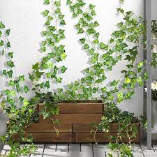 Amazon.de: PIMDYGO 24 Stück Efeu Künstlich,2.1m Künstliche  Hängepflanzen,Langlebige Efeu Girlande,Fake Efeu,Kunstpflanze Hängend für  Schaukel,Hochzeit,Balkon,Garten,Schlafzimmer,Party,Weihnachten Dekoration