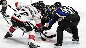 Hockey sur glace (Ligue Magnus) : pas de play-offs sans petites polémiques