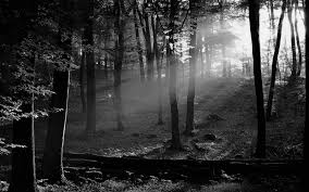 Black And White Scenery Wallpaper Black And White Photos Scenary Hd Black And White Scenic Landscape Wallpapers Pack Sunrise Wallpaper Nature Wallpaper Nature