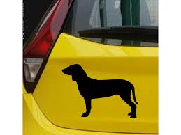 Image result for anglický barvář