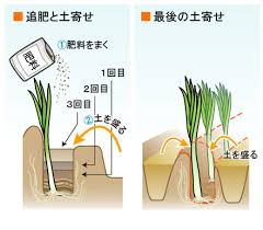 今月の農作業 １０月 今月の農作業編 農作業便利帖 みんなの農業広場 モバイル版