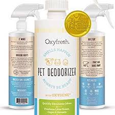 See our 2021 brand rating for specialty pet products and analysis of 2,053 specialty pet products reviews for 4 products in jar candles and automotive. Amazon Com Specialty Pet Products Pet Odor Exterminator Candle Apple Pumpkin 13 Oz Home Kitchen Pet Odors Pet Ear Cleaner Odor Remover
