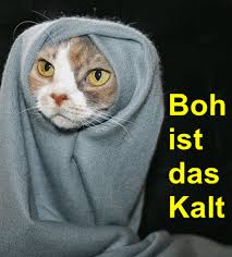 Eine kleine erinnerung an den vergangenen sonntag mit schönem, sonnigen wetter. Boh Ist Das Kalt Kaltes Wetter Lustig Lustige Bilder Gif Lustig Tiere
