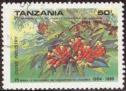 Image result for Schizochilus sulphureus