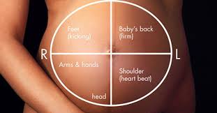 Pin On Preganancy And Baby