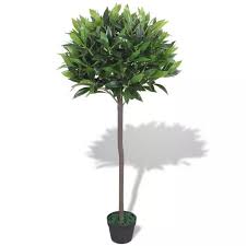 Laurier plante interieur ou exterieur. Plante Artificielle Laurier Artificiel Arbre Decoration Jardin Pour Interieur Et Exterieur 125 Cm Fleur Artificielle Avec Pot Cdiscount Maison