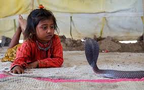 Image result for snake charming indian