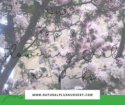 Flowering trees that grow in iowa. Flowering Crab Natural Plus Nursery