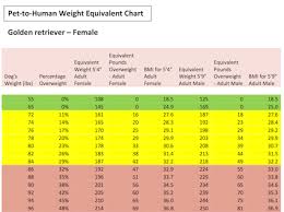 Rover Com Blog How Much Would You Weigh If You Were Your Dog