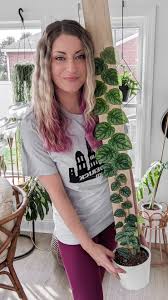 Image result for Monstera