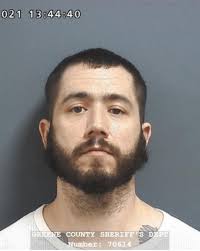 Greene County Jail Log