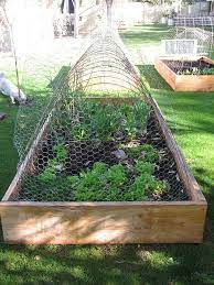 Must Make A Veggie Garden She S Using Construction Mesh To Keep Her Dog Cat And Chickens Out Of The Newly Planted Beds Raised Garden Garden Beds Backyard