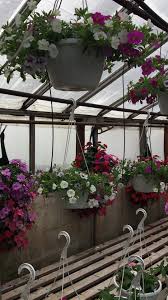 Maybe you would like to learn more about one of these? Skinkles Flowers Home Facebook