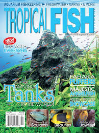 Tropical Fish Hobbyist 2012 01 Pdf