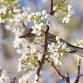 Field Trip: Avondale Park (Free!) — ALABAMA AUDUBON