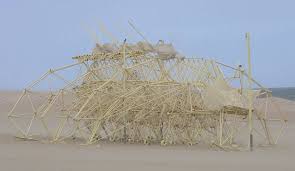 Theo jansen is a dutch artist who builds walking kinetic sculptures that he calls a new form of life. Theo Jansen On His Passion For Developing Strandbeests Into Ever Evolving Creatures