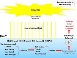 We did not find results for: Asal Usul Kehidupan Berasal Dari Laut Kompasiana Com