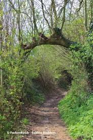 Wanderung Durch Das Rotthauser Bachtal Sehenswerte Orte Wanderung Interessante Orte