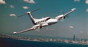 Image result for Piper