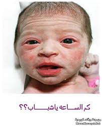 صور مواليد