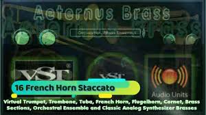 Virtual French Horn Presets From Aeternus Brass Plugin Vst Vst3 Audio Un Tuba Trombone French Horn