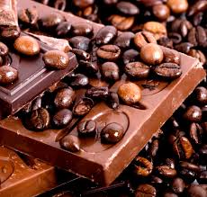 Cemoi Unveils Sustainable Cocoa Plan
