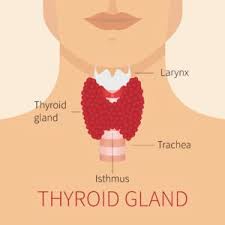 When cancer starts in the thyroid gland, it is called thyroid cancer. I Have Thyroid Nodules Should I Be Worried Nebraska Medicine Omaha Ne