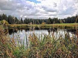 wachseldornmoos raisedbog hochmoor naturalreserve heimenschwand buchholterberg bern switzerland