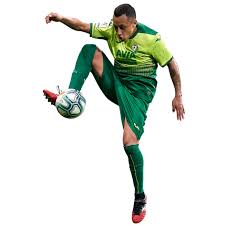 Born 27 january 1986) is a chilean professional footballer who plays as a winger for spanish club real valladolid and the chilean national team. Fabian Orellana Thesportsdb Com