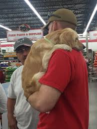Mobile pet vet tractor supply. Mobile Pet Vet Mobile Pet Vet Tractor Supply Today Facebook