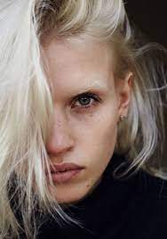 Dior Homme Et Slp Derive Blonde Eyebrows Bleached Eyebrows Bleached Brows