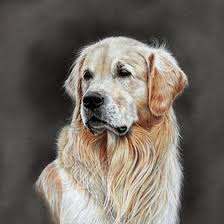 Check spelling or type a new query. 61 Best Restaurant Kitchen Design Ideas Restaurant Kitchen Design Restaurant Kitchen Kitchen Design